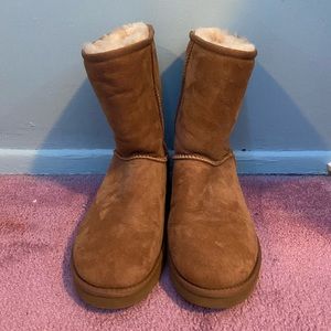 Chestnut Classic Uggs